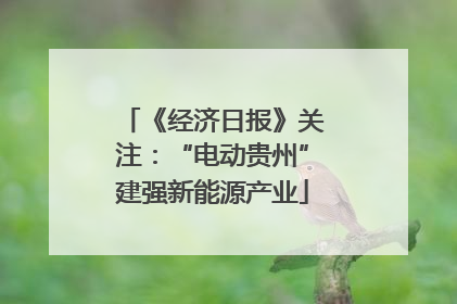 《经济日报》关注：“电动贵州”建强新能源产业