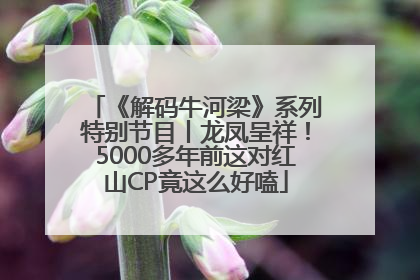 《解码牛河梁》系列特别节目丨龙凤呈祥！5000多年前这对红山CP竟这么好嗑