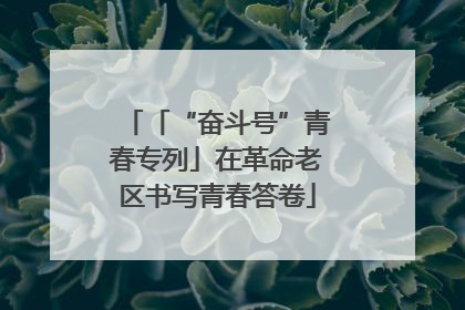 「“奋斗号”青春专列」在革命老区书写青春答卷