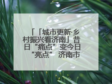 「城市更新·乡村振兴看济南」昔日“痛点”变今日“亮点” 济南市市中区上演城市更新“三部曲”