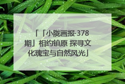 「小陇画报·378期」相约镇原 探寻文化瑰宝与自然风光