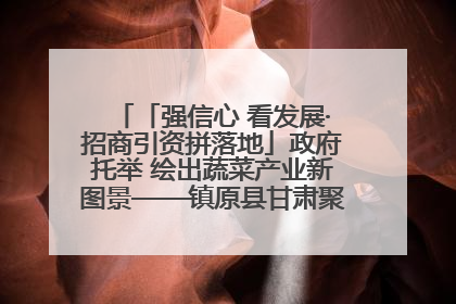 「强信心 看发展·招商引资拼落地」政府托举 绘出蔬菜产业新图景——镇原县甘肃聚广利现代设施蔬菜种植基地见闻
