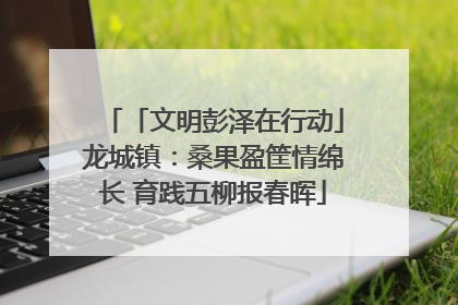 「文明彭泽在行动」龙城镇：桑果盈筐情绵长 育践五柳报春晖