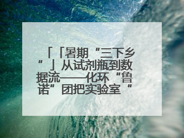 「暑期“三下乡”」从试剂瓶到数据流——化环“鲁诺”团把实验室“搬”回家乡，点亮桑梓求知路