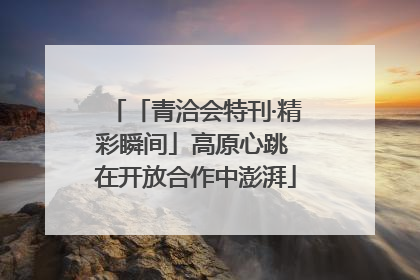 「青洽会特刊·精彩瞬间」高原心跳 在开放合作中澎湃