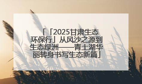 「2025甘肃生态环保行」从风沙之源到生态绿洲——青土湖华丽转身书写生态新篇
