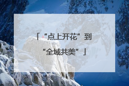 “点上开花”到“全域共美”