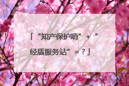 “知产保护哨”+“经盾服务站”=？