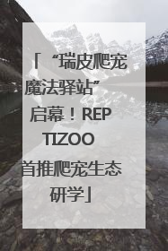 “瑞皮爬宠魔法驿站” 启幕！REPTIZOO 首推爬宠生态研学