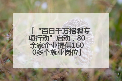 “百日千万招聘专项行动”启动，80余家企业提供1600多个就业岗位