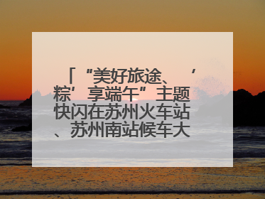 “美好旅途、‘粽’享端午”主题快闪在苏州火车站、苏州南站候车大厅上演