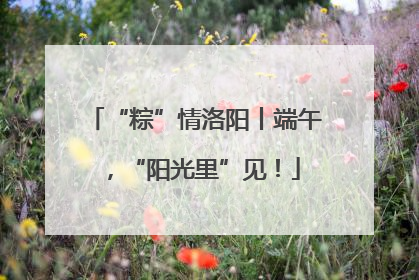 “粽”情洛阳丨端午，“阳光里”见！