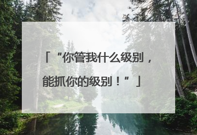 “你管我什么级别，能抓你的级别！”