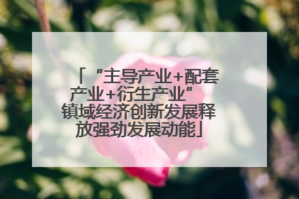 “主导产业+配套产业+衍生产业” 镇域经济创新发展释放强劲发展动能
