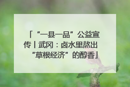 “一县一品”公益宣传丨武冈：卤水里熬出“草根经济”的醇香
