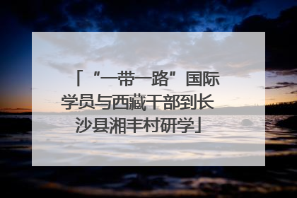“一带一路”国际学员与西藏干部到长沙县湘丰村研学
