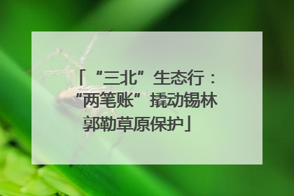 “三北”生态行：“两笔账”撬动锡林郭勒草原保护