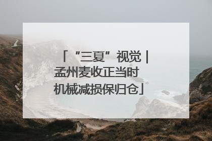 “三夏”视觉｜孟州麦收正当时 机械减损保归仓