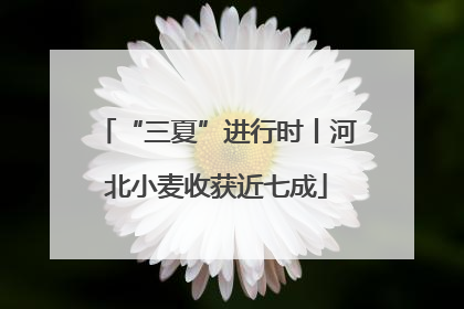 “三夏”进行时丨河北小麦收获近七成