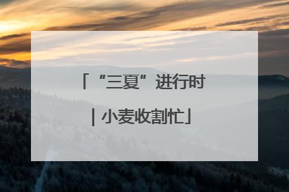 “三夏”进行时｜小麦收割忙