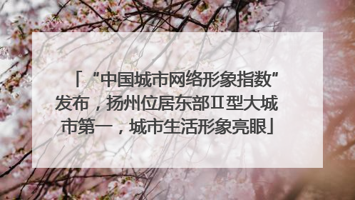 “中国城市网络形象指数”发布，扬州位居东部Ⅱ型大城市第一，城市生活形象亮眼