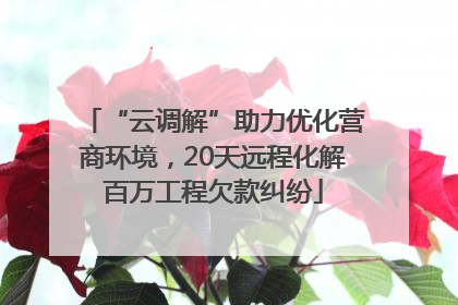 “云调解”助力优化营商环境，20天远程化解百万工程欠款纠纷