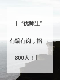 “优师生”有编有岗，招800人！