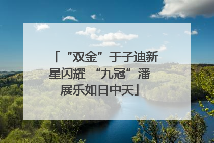 “双金”于子迪新星闪耀 “九冠”潘展乐如日中天