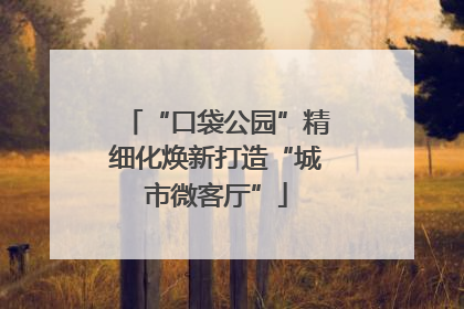 “口袋公园”精细化焕新打造“城市微客厅”