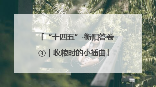 “十四五”·衡阳答卷③｜收粮时的小插曲