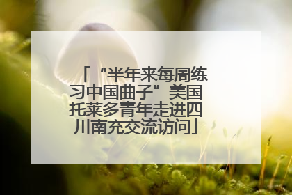 “半年来每周练习中国曲子”美国托莱多青年走进四川南充交流访问
