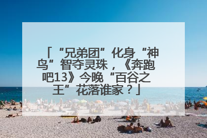 “兄弟团”化身“神鸟”智夺灵珠，《奔跑吧13》今晚“百谷之王”花落谁家？