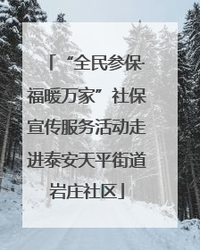 “全民参保·福暖万家”社保宣传服务活动走进泰安天平街道岩庄社区