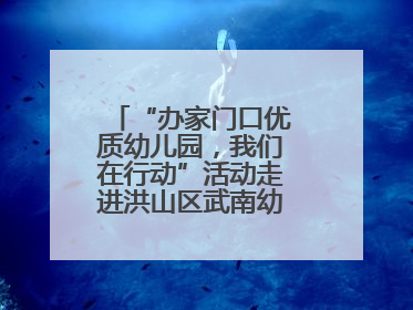 “办家门口优质幼儿园，我们在行动”活动走进洪山区武南幼儿园童趣园