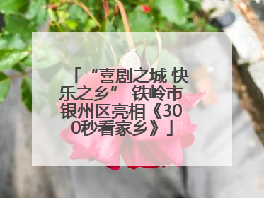 “喜剧之城 快乐之乡” 铁岭市银州区亮相《300秒看家乡》