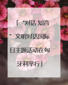 “对话·知音”文明对话国际日主题活动在匈牙利举行