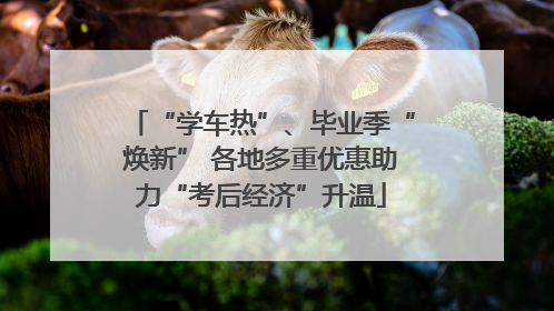 “学车热”、毕业季“焕新” 各地多重优惠助力“考后经济”升温