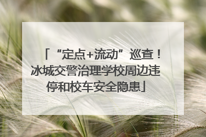 “定点+流动”巡查！冰城交警治理学校周边违停和校车安全隐患