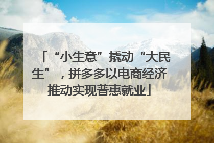 “小生意”撬动“大民生”，拼多多以电商经济推动实现普惠就业