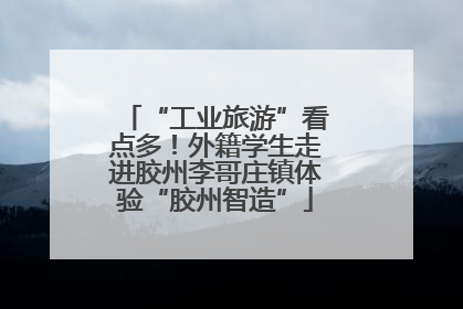 “工业旅游”看点多！外籍学生走进胶州李哥庄镇体验“胶州智造”