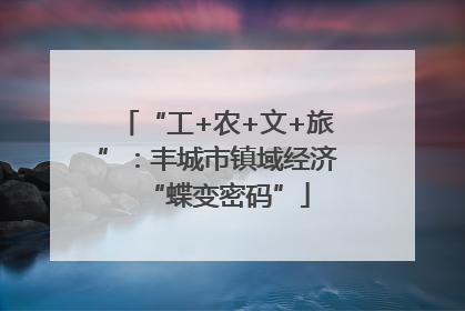 “工+农+文+旅”：丰城市镇域经济“蝶变密码”