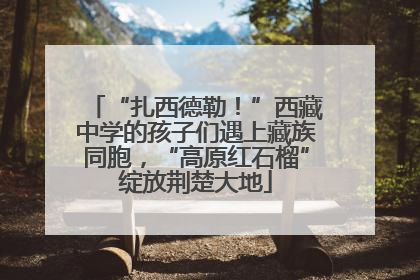 “扎西德勒！”西藏中学的孩子们遇上藏族同胞，“高原红石榴”绽放荆楚大地