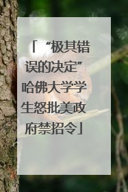 “极其错误的决定”哈佛大学学生怒批美政府禁招令