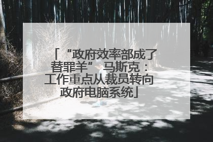 “政府效率部成了替罪羊” 马斯克：工作重点从裁员转向政府电脑系统