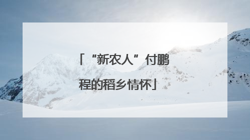 “新农人”付鹏程的稻乡情怀