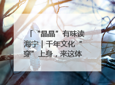 “晶晶”有味读海宁｜千年文化“穿”上身，来这体验非遗旅拍！