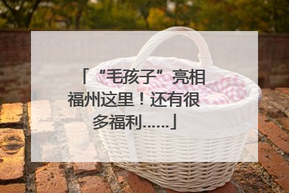 “毛孩子”亮相福州这里！还有很多福利……