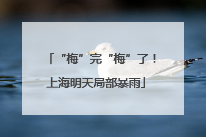 “梅”完“梅”了！上海明天局部暴雨