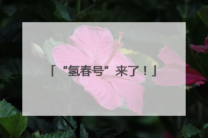 “氢春号”来了！
