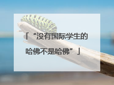 “没有国际学生的哈佛不是哈佛”